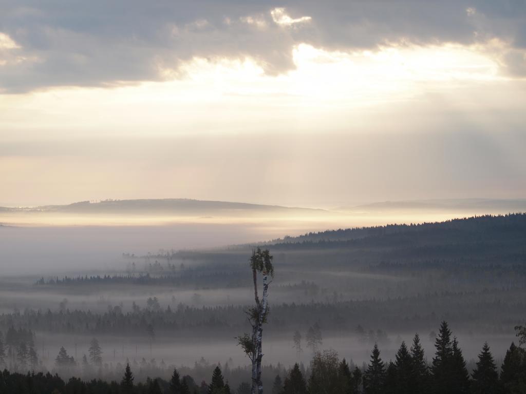 Mieps Huset Dalarna Holiday Kullen  Exteriér fotografie