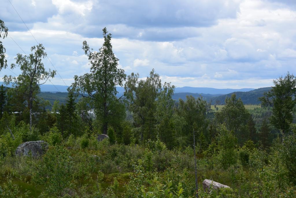 Mieps Huset Dalarna Holiday Kullen  Exteriér fotografie