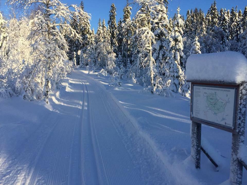 Mieps Huset Dalarna Holiday Kullen  Exteriér fotografie