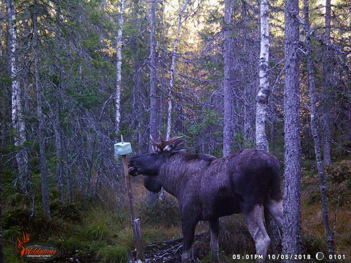 Mieps Huset Dalarna Holiday Kullen  Exteriér fotografie